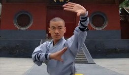 宝强哥最新爆料视频,最新爆料视频背后的惊人真相