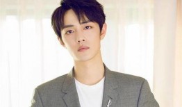 肖战最新八字爆料,命运轨迹与星途辉煌