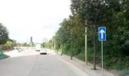 珠海洪湾桥最新爆料,揭秘工程进展与未来规划