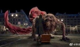 12月神奇动物爆料最新