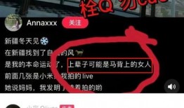 奚安娜最新爆料,揭秘娱乐圈不为人知的幕后故事