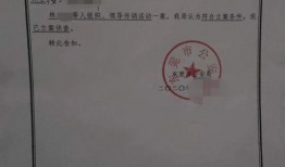 湖北最新爆料案件,惊天谜团揭开，真相令人震惊！