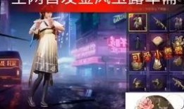 军需最新爆料视频,揭秘神秘装备与战术革新