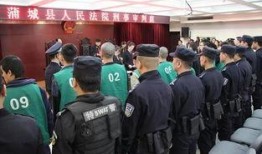 蒲城最近爆料案件最新,最新案件细节曝光，真相令人震惊！