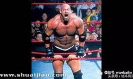 战神高博最新爆料,最新爆料背后的惊人真相