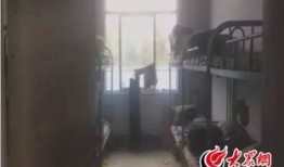 临沂男子爆料视频最新,揭露惊人真相！