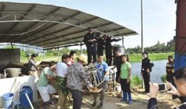 长春养猪场爆料案件最新,揭开养殖行业黑幕背后的惊人真相