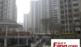 郑州花园路最新爆料信息,繁华街区焕新记