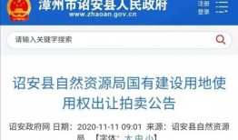 漳州最新爆料新闻报道,揭秘背后惊人真相！