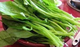 菠菜最新爆料新闻报道,揭秘菠菜界惊天秘密